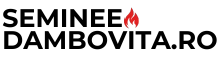 seminee-dambovita-logo.png